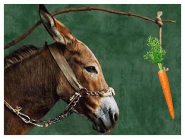 burro-zanahoria
